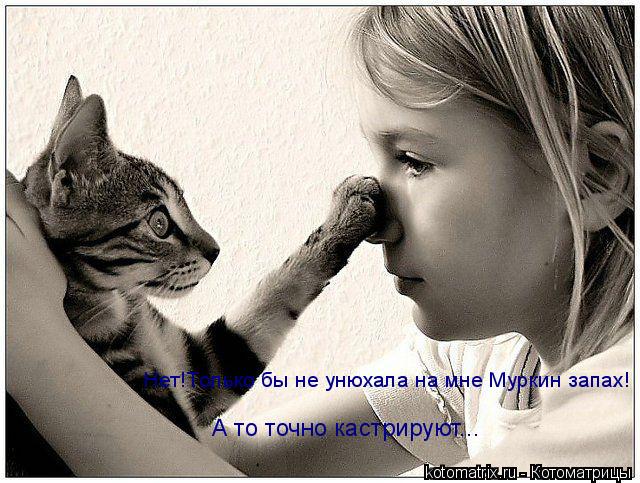 А то точно кастрируют... Нет!Только бы не унюхала на мне Муркин запах!... Котоматрица: А то точно кастрируют... Нет!Только бы не унюхала на мне Муркин запах!