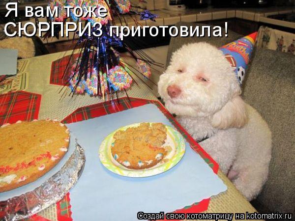 Я вам тоже СЮРПРИЗ приготовила!... Котоматрица: Я вам тоже СЮРПРИЗ приготовила!
