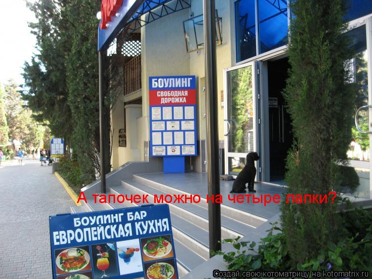 А тапочек можно на четыре лапки?... Котоматрица: А тапочек можно на четыре лапки?