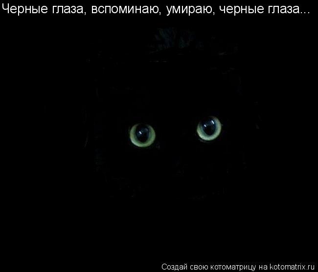 Черные глаза, вспоминаю, умираю, черные глаза...... Котоматрица: Черные глаза, вспоминаю, умираю, черные глаза...