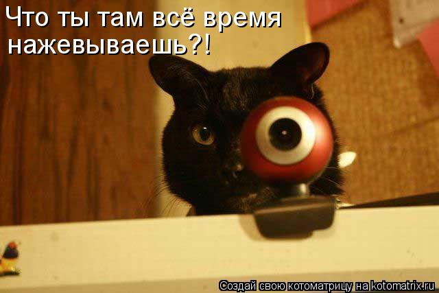 Что ты там всё время нажевываешь?!... Котоматрица: Что ты там всё время нажевываешь?!