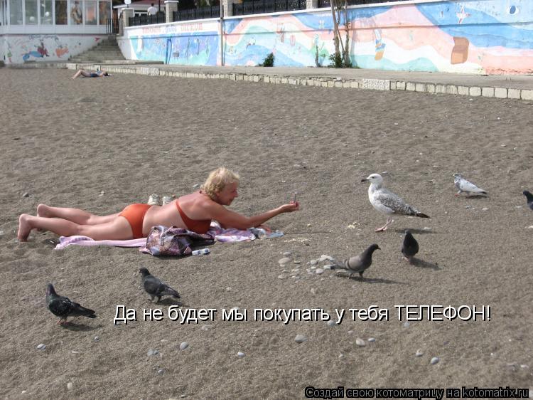 Да не будет мы покупать у тебя ТЕЛЕФОН! Да не будет мы покупать у тебя ТЕЛЕФОН!... Котоматрица: Да не будет мы покупать у тебя ТЕЛЕФОН! Да не будет мы покупать у тебя ТЕЛЕФОН!