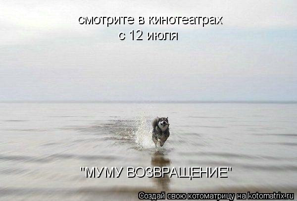 смотрите в кинотеатрах с 12 июля "МУМУ ВОЗВРАЩЕНИЕ"... Котоматрица: смотрите в кинотеатрах с 12 июля "МУМУ ВОЗВРАЩЕНИЕ"