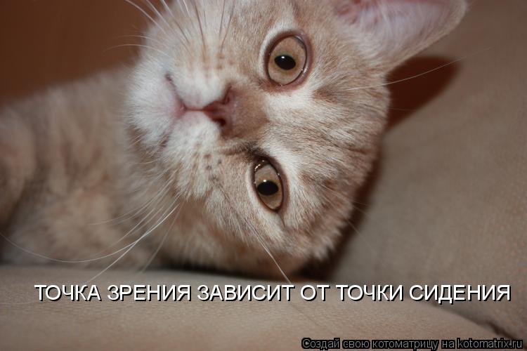 ТОЧКА ЗРЕНИЯ ЗАВИСИТ ОТ ТОЧКИ СИДЕНИЯ... Котоматрица: ТОЧКА ЗРЕНИЯ ЗАВИСИТ ОТ ТОЧКИ СИДЕНИЯ