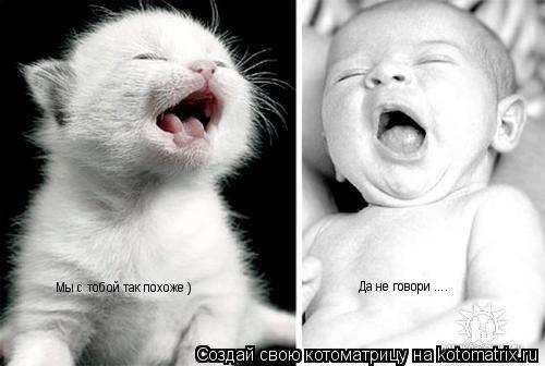 Мы с тобой так похоже ) Да не говори ....... Котоматрица: Мы с тобой так похоже ) Да не говори ....