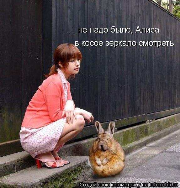 в косое зеркало смотреть не надо было, Алиса... Котоматрица: в косое зеркало смотреть не надо было, Алиса