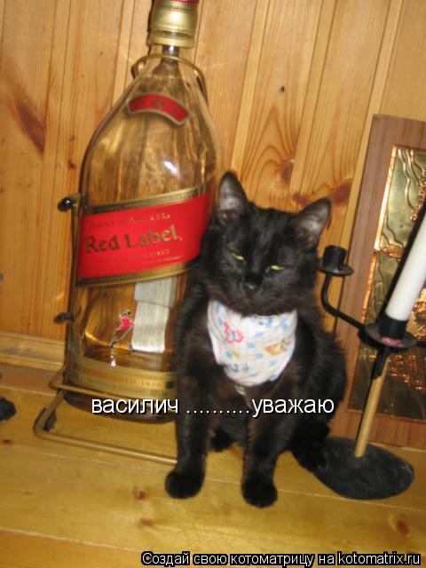 василич ..........уважаю... Котоматрица: василич ..........уважаю