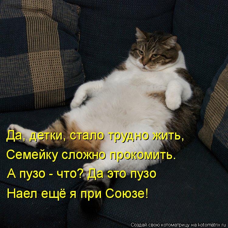 Да, детки, стало трудно жить, Семейку сложно прокомить. А пузо - что? Да это пузо А пузо - что? Да эт... Котоматрица: Да, детки, стало трудно жить, Семейку сложно прокомить. А пузо - что? Да это пузо А пузо - что? Да это пузо Наел ещё я при Союзе!
