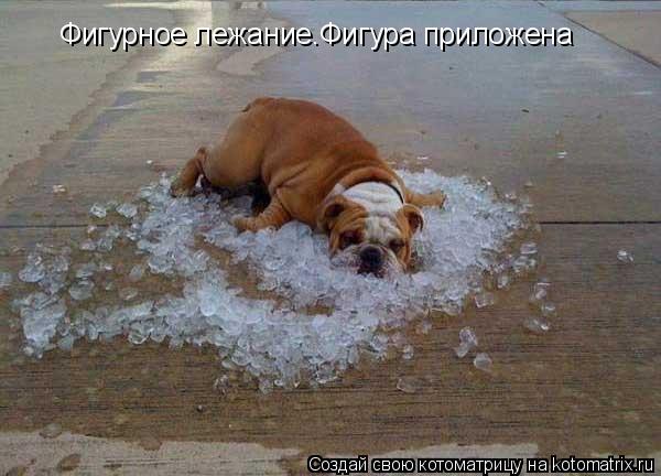 Фигурное лежание.Фигура приложена... Котоматрица: Фигурное лежание.Фигура приложена