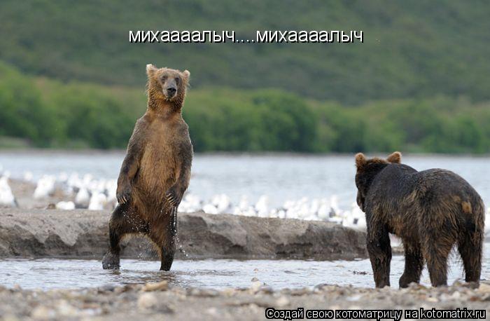 михаааалыч....михаааалыч... Котоматрица: михаааалыч....михаааалыч