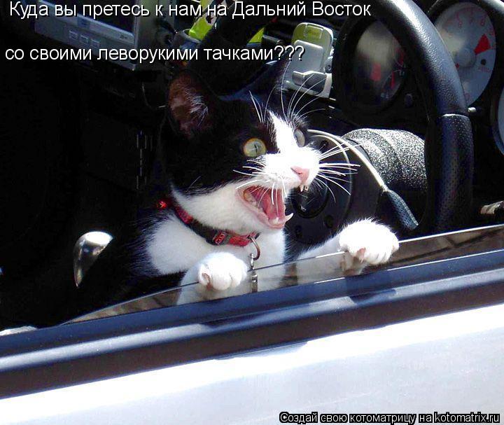 Куда вы претесь к нам на Дальний Восток со своими леворукими тачками???... Котоматрица: Куда вы претесь к нам на Дальний Восток со своими леворукими тачками???