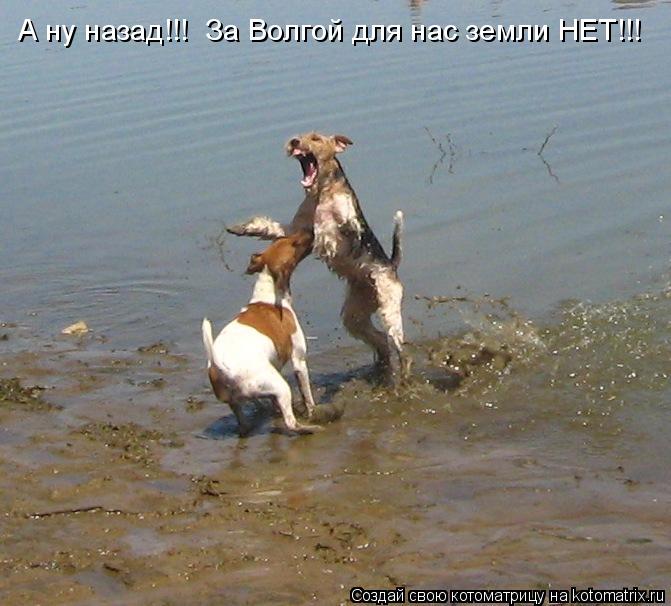 А ну назад!!! За Волгой для нас земли НЕТ!!!... Котоматрица: А ну назад!!! За Волгой для нас земли НЕТ!!!