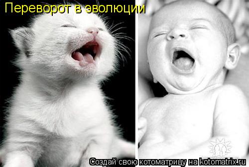 Переворот в эволюции... Котоматрица: Переворот в эволюции