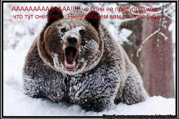 АААААААААААААА!!!!! че блин не предупредили, что тут снегу по ... Ннну вобщем вам по пояс будет... Котоматрица: АААААААААААААА!!!!! че блин не предупредили, что тут снегу по ... Ннну вобщем вам по пояс будет