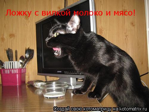 Ложку с вилкой молоко и мясо!... Котоматрица: Ложку с вилкой молоко и мясо!