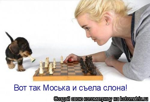 Вот так Моська и съела слона!... Котоматрица: Вот так Моська и съела слона!