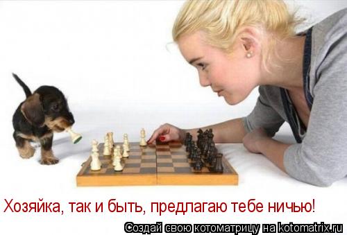 Хозяйка, так и быть, предлагаю тебе ничью!... Котоматрица: Хозяйка, так и быть, предлагаю тебе ничью!