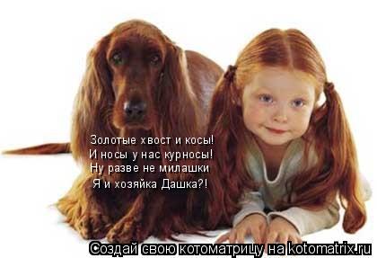 Золотые хвост и косы! И носы у нас курносы! Ну разве не милашки Я и хозяйка Дашка?!... Котоматрица: Золотые хвост и косы! И носы у нас курносы! Ну разве не милашки Я и хозяйка Дашка?!