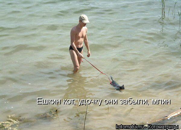 Ешкин кот, удочку они забыли, млин... Котоматрица: Ешкин кот, удочку они забыли, млин