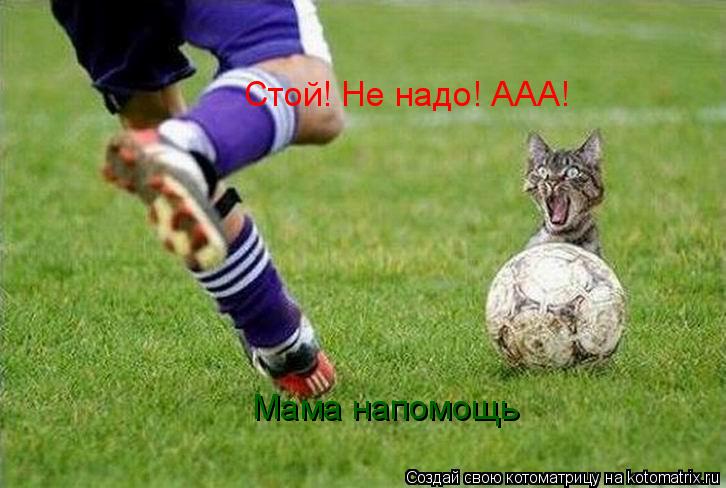 Стой! Не надо! ААА! Мама напомощь... Котоматрица: Стой! Не надо! ААА! Мама напомощь