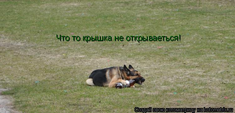Что то крышка не открываеться!... Котоматрица: Что то крышка не открываеться!