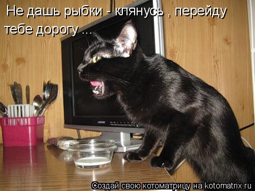 Не дашь рыбки - клянусь , перейду тебе дорогу ...... Котоматрица: Не дашь рыбки - клянусь , перейду тебе дорогу ...