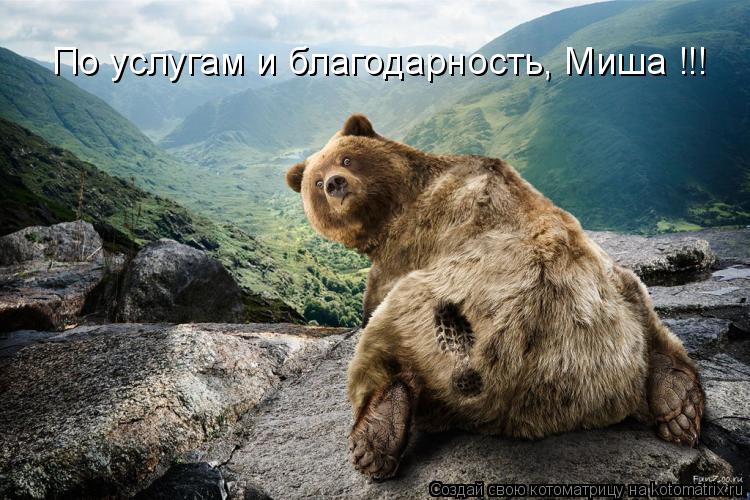 По услугам и благодарность, Миша !!!... Котоматрица: По услугам и благодарность, Миша !!!