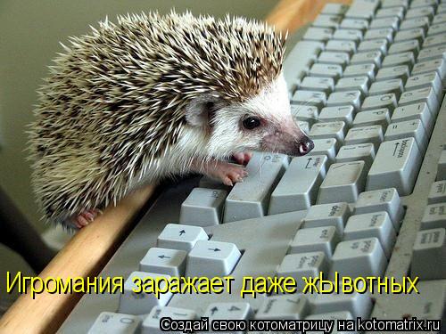 Игромания заражает даже жЫвотных... Котоматрица: Игромания заражает даже жЫвотных