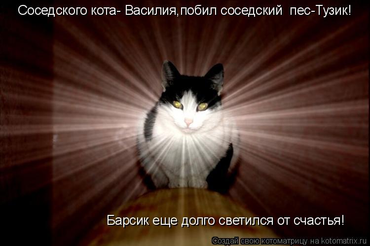 Соседского кота- Василия,побил соседский пес-Тузик! Барсик еще долго светился от счастья!... Котоматрица: Соседского кота- Василия,побил соседский пес-Тузик! Барсик еще долго светился от счастья!