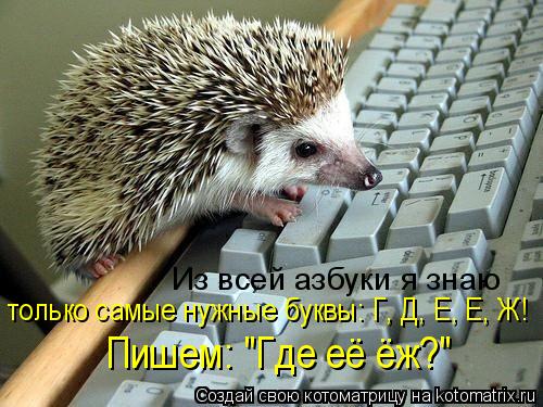 Из всей азбуки я знаю только самые нужные буквы: Г, Д, Е, Е, Ж! Пишем: "Где её ёж?"... Котоматрица: Из всей азбуки я знаю только самые нужные буквы: Г, Д, Е, Е, Ж! Пишем: "Где её ёж?"