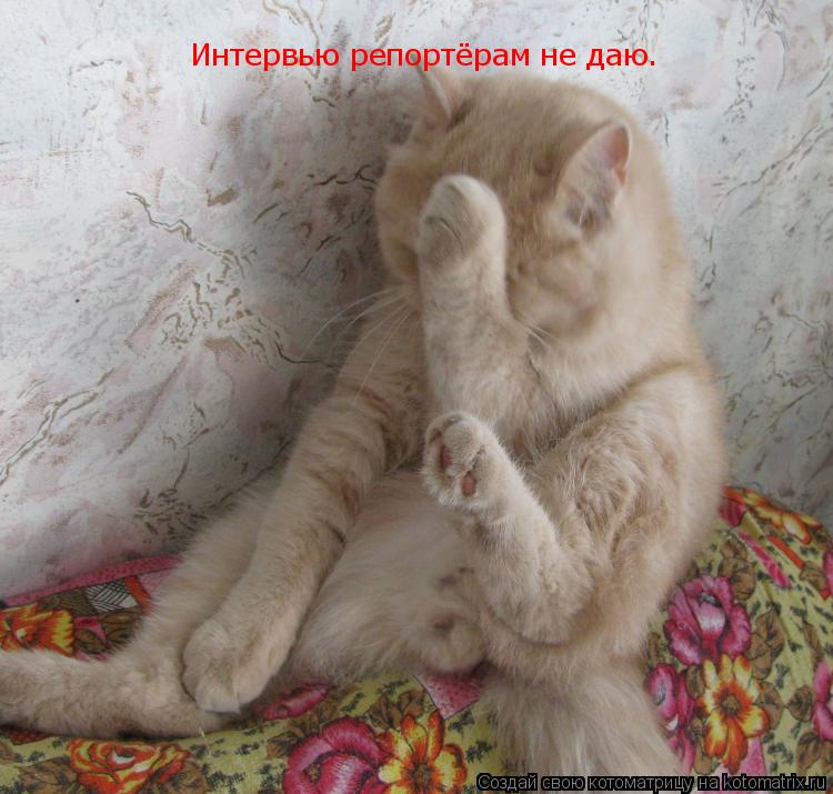 Интервью репортёрам не даю.... Котоматрица: Интервью репортёрам не даю.