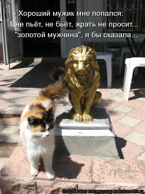 не пьёт, не бьёт, жрать не просит... - Хороший мужик мне попался: "золотой мужчина", я бы сказала...... Котоматрица: не пьёт, не бьёт, жрать не просит... - Хороший мужик мне попался: "золотой мужчина", я бы сказала...