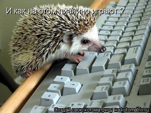 И как на этом пианино играют ?..... Котоматрица: И как на этом пианино играют ?..