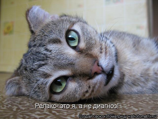 Релакс- это я, а не диагноз!... Котоматрица: Релакс- это я, а не диагноз!