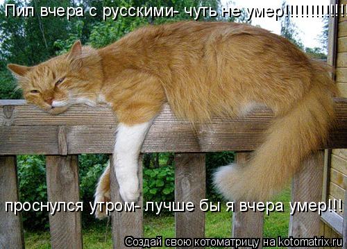 проснулся утром- лучше бы я вчера умер!!! Пил вчера с русскими- чуть не умер!!!!!!!!!!!!!!!... Котоматрица: проснулся утром- лучше бы я вчера умер!!! Пил вчера с русскими- чуть не умер!!!!!!!!!!!!!!!