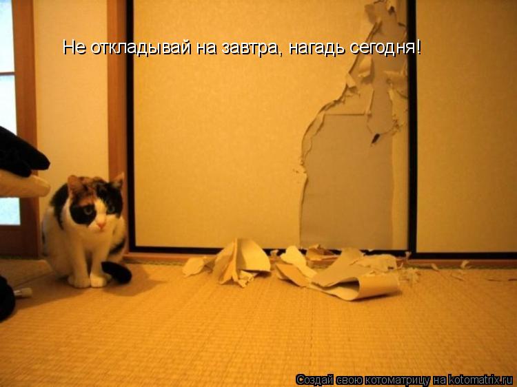 Не откладывай на завтра, нагадь сегодня!... Котоматрица: Не откладывай на завтра, нагадь сегодня!