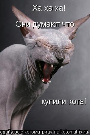 Ха ха ха! Они думают что купили кота Они думают что купили кота!... Котоматрица: Ха ха ха! Они думают что купили кота Они думают что купили кота!