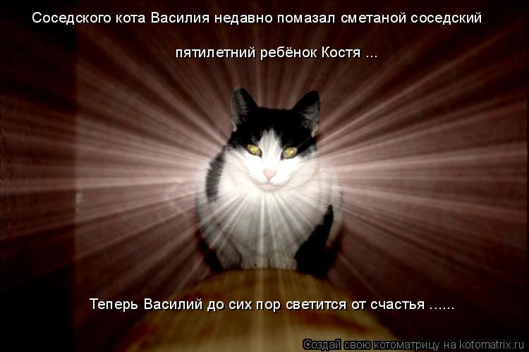 Соседского кота Василия недавно помазал сметаной соседский пятилетний ребёнок Костя ... Теперь Васил... Котоматрица: Соседского кота Василия недавно помазал сметаной соседский пятилетний ребёнок Костя ... Теперь Василий до сих пор светится от счастья ......