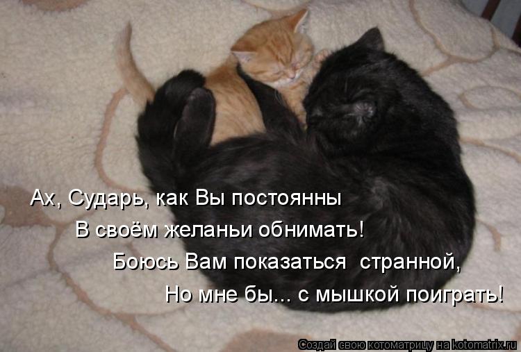Ах, Сударь, как Вы постоянны Боюсь Вам показаться странной, Но мне бы... с мышкой поиграть! В своём... Котоматрица: Ах, Сударь, как Вы постоянны Боюсь Вам показаться странной, Но мне бы... с мышкой поиграть! В своём желаньи обнимать!