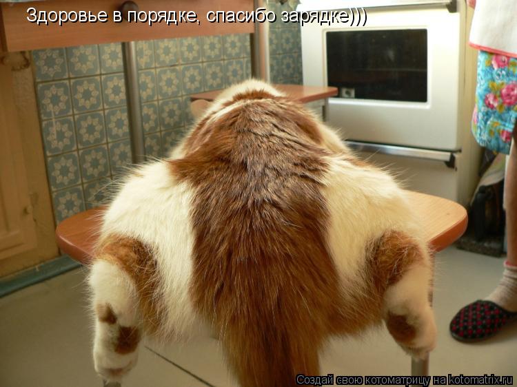 Здоровье в порядке, спасибо зарядке)))... Котоматрица: Здоровье в порядке, спасибо зарядке)))