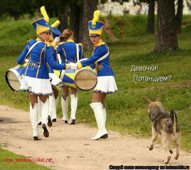 Девочки! Потанцуем?... Котоматрица: Девочки! Потанцуем?
