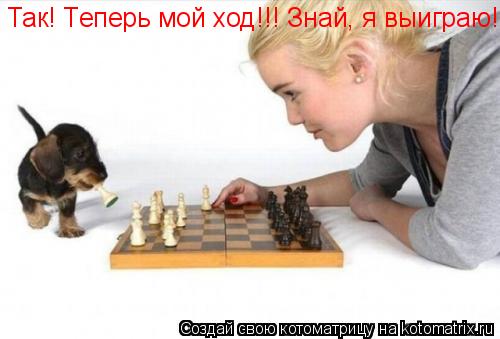 Так! Теперь мой ход!!! Знай, я выиграю!... Котоматрица: Так! Теперь мой ход!!! Знай, я выиграю!
