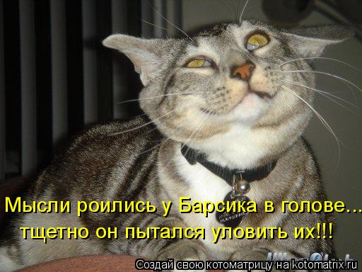 тщетно он пытался уловить их!!! Мысли роились у Барсика в голове...... Котоматрица: тщетно он пытался уловить их!!! Мысли роились у Барсика в голове...