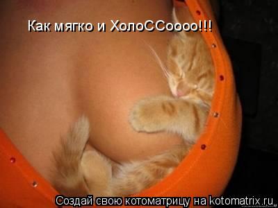 Как мягко и ХолоССоооо!!!... Котоматрица: Как мягко и ХолоССоооо!!!