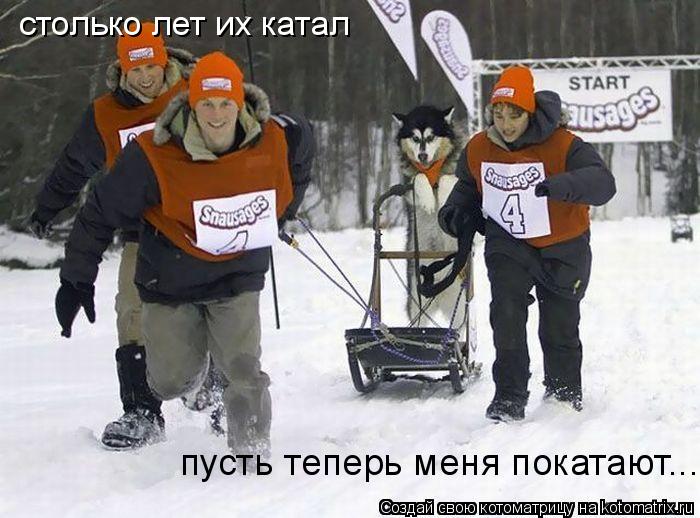 столько лет их катал столько лет их катал пусть теперь меня покатают...... Котоматрица: столько лет их катал столько лет их катал пусть теперь меня покатают...