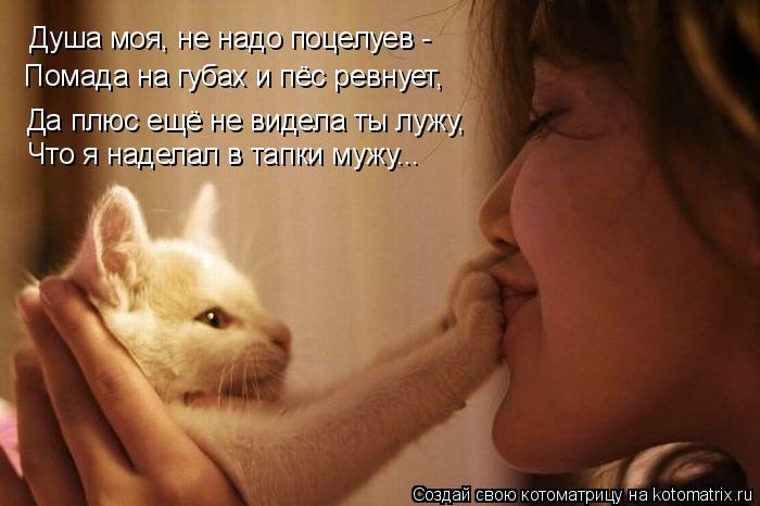 Да плюс ещё не видела ты лужу, Что я наделал в тапки мужу... Душа моя, не надо поцелуев - Помада на ... Котоматрица: Да плюс ещё не видела ты лужу, Что я наделал в тапки мужу... Душа моя, не надо поцелуев - Помада на губах и пёс ревнует,