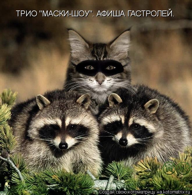ТРИО "МАСКИ-ШОУ". АФИША ГАСТРОЛЕЙ.... Котоматрица: ТРИО "МАСКИ-ШОУ". АФИША ГАСТРОЛЕЙ.