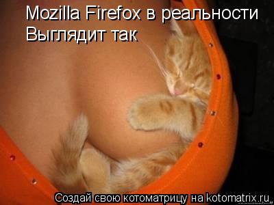 Mozilla Firefox в реальности Выглядит так... Котоматрица: Mozilla Firefox в реальности Выглядит так