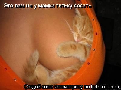Котоматрица: Это вам не у мамки титьку сосать