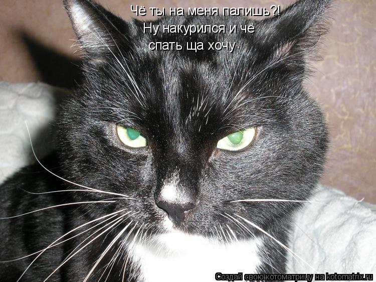 Чё ты на меня палишь?! Ну накурился и чё спать ща хочу... Котоматрица: Чё ты на меня палишь?! Ну накурился и чё спать ща хочу